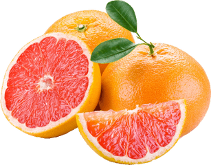 Png Tumblr - Grapefruit Png