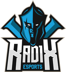 Csgo Character Png - Radix Esports Logo Png