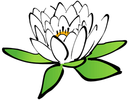 Lotus Vector Flower Free Photo - Free PNG