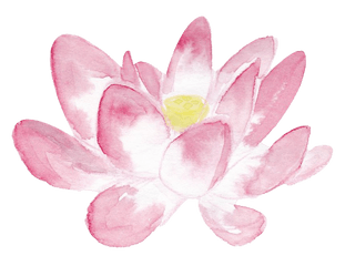 Pink Lotus Png In Watercolor - Sacred Lotus