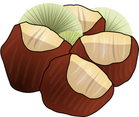 Download Hd Hazelnut Png Clipart - Chestnuts Clipart