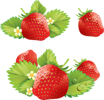 Strawberry Png Images