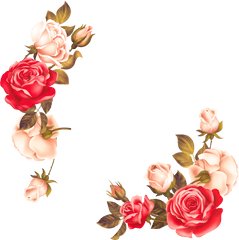 Rose Flower Border Clipart Png - Vector Flower Border Png