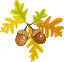 Transparentfallleaveswithacornspngmu003d1411126620 Fall - Transparent Background Oak Leaf Clipart Png