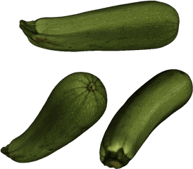 3d Printable Shell Of Zucchini - Zucchini Png