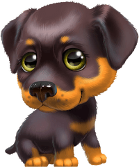 Cute Puppies Free Png Images