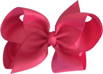 Fuschia Pink Hair Accessories - Gift Wrapping Png