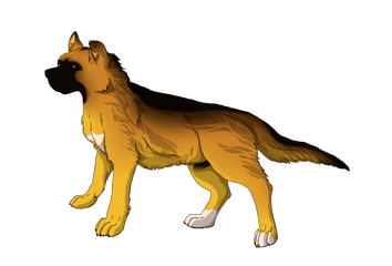 Anime Dog Transparent Background - Anime Dog Transparent Background Png