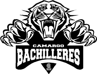 Colegio De Bachilleres Del Estado - Tiger Logo Png Hd