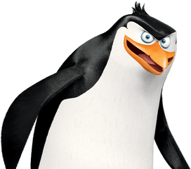 Madagascar Penguins Icon Png - Rico Penguins Of Madagascar Png