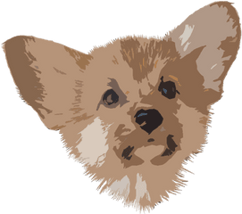 Pembroke Welsh Corgi - Hyena Png