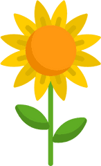 Sunflower - Free Nature Icons Solar Collector Angle Png