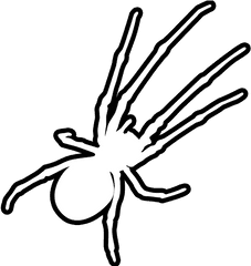 Home - Scarlet And The Spooky Spiders Tarantula Png