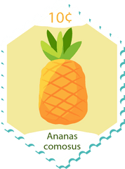 Download About Network Stamp Pineapple Vector Design - Anatabloc Png