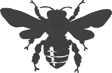 Bee Beehive Honey - Free Vector Graphic On Pixabay Honey Bee Bee Clipart Black And White Png