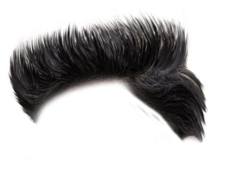 Cb Hair Png Hd Download Men