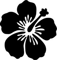 Photos Single Flower Silhouette Free PNG HQ