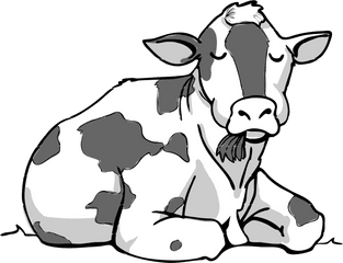 Food Clipart Cow Transparent Free For Download - Cow Sitting Clipart Black And White Png