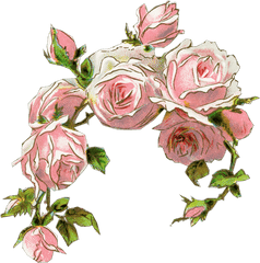 Old Rose Clipart - Old Rose Flower Design Png