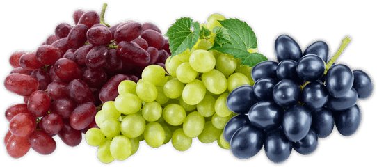 Download Grapes Fruit Hd Png - Fruits Grapes