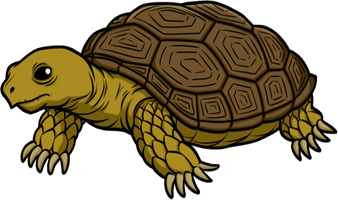 Tortoise Transparent - Free PNG