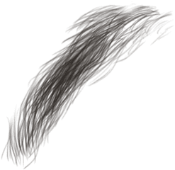 Thick Eyebrows Transparent Png - Transparent Hair Texture Png