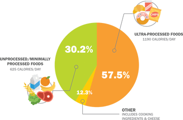 Processed Foods Calories And Nutrients Americansu0027 Alarming - Processed Foods And Obesity Png