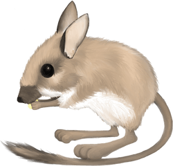 Clipart Of Rat Rats And By - Mouse Transparent Mouse Png