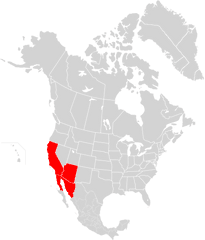 Southwest Blackout Of 2011 - Portable Network Graphics Png