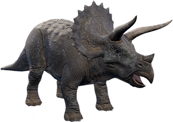 Triceratops - Triceratops Jurassic World Evolution Png