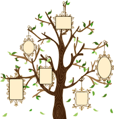 Download Family Tree Illustration Creative Euclidean Vector - Frame For Family Tree Png