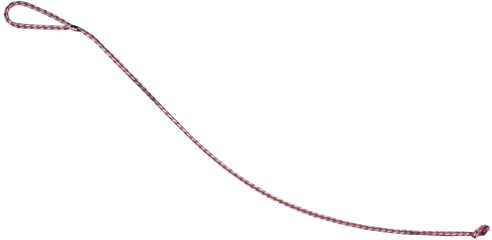 Red Rope Transparent U0026 Png Clipart Free Download - Ywd Leash Png