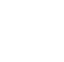 Png Texas Transparent - White State Of Texas