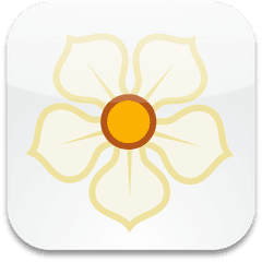 Magnolia Icons Free Icon Download Iconhotcom - Decorative Png