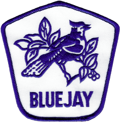 Blue Jay - Camp Liloli Bird Png