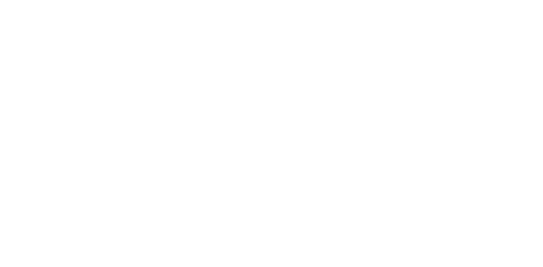 Aspen Brain Institute Png Brains