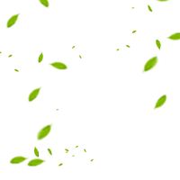 Fly Euclidean Material Vector Leaf HD Image Free PNG