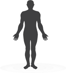 Human Body Png Download - Silhouette Human Body Png