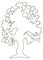 Download Clipart - White Tree Silhouette Png Full Size Png Outline Of A Tree