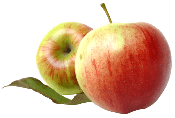 Fresh Apple Png Image - Transparent Png Free Apple