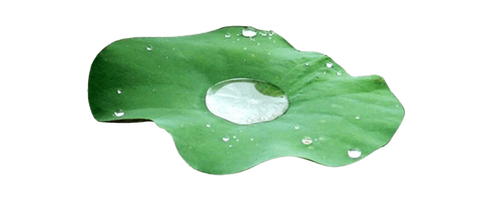 Water Drop Leaf Free Clipart HQ - Free PNG