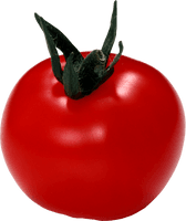 Tomato Png Image