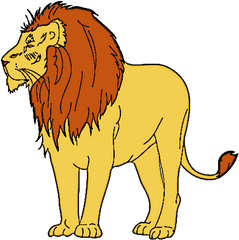 Lion Transparent Clipart - Transparent Background Lion Clipart Png