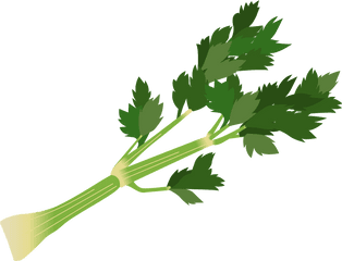 Celery Stalk Clipart Png