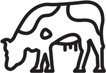 Cow Free Icon Of Selman Icons Png Cattle