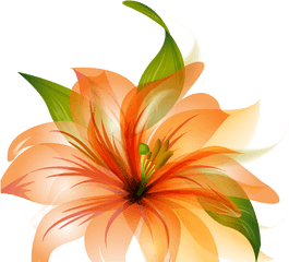 Orange Lily Flower Shower Curtain - Orange Flower Vector Png