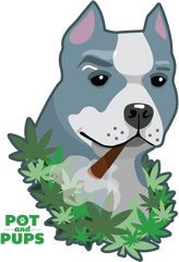 Pitbull Png - American Pit Bull Terrier