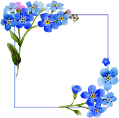 Flower Frame Png Transparent Images - Frame Blue Flower Border