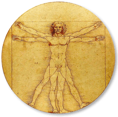 Vitruvian - Mancutoutds Test Mandela Effect Leonardo Da Vinci Bi Png