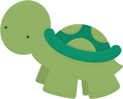Cute Turtle Picture - Free PNG